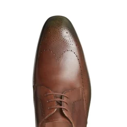 Clearance Fratelli Rossetti Tobacco Brown/green Leather Lace-up Shoe | Tobacco Brown/Forest Green