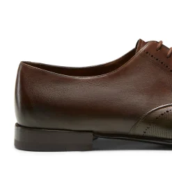 Clearance Fratelli Rossetti Tobacco Brown/green Leather Lace-up Shoe | Tobacco Brown/Forest Green